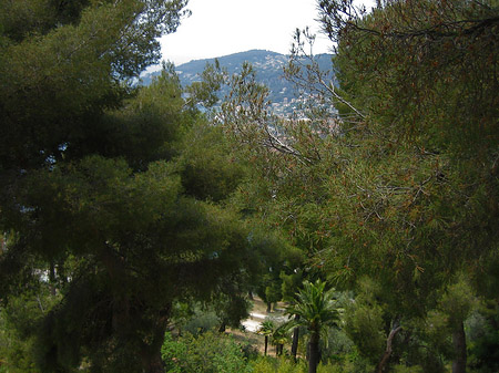 Fotos Natur