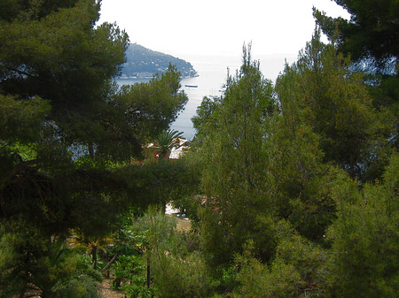 Foto Natur - Nizza
